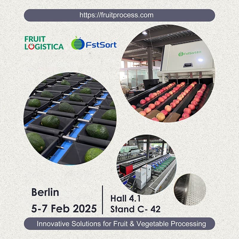 images/1737532497459fruit sorting machine.jpg